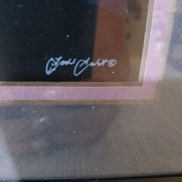 Todd Salat Signed Photography Alaska Auroral Norther Lights "Kaleidoscope" - Picture 3 of 5